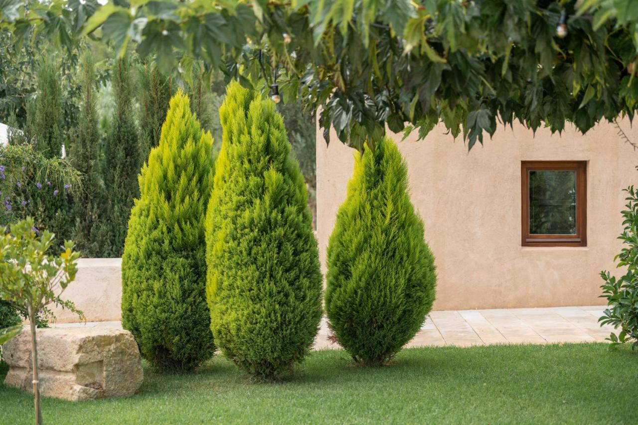 Agroturismo Safragell Ibiza Suites & Spa Sant Llorenc de Balafia Luaran gambar